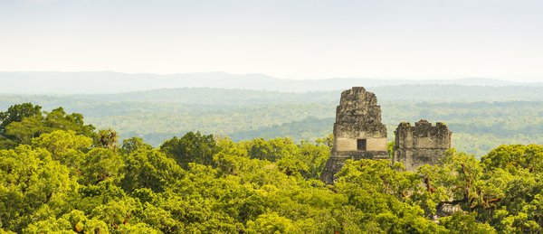 Comment organiser une visite des temples anciens de Tikal, Guatemala?