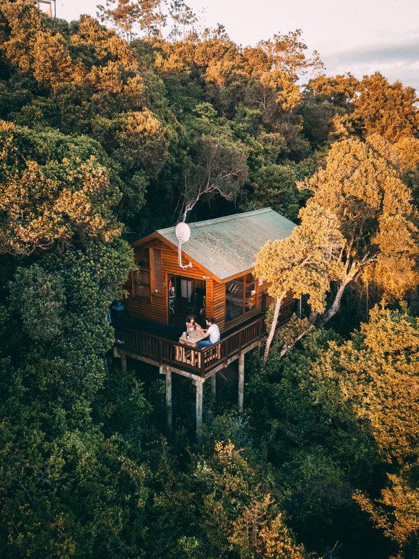 Cabane dans les arbres en dordogne : séjour au cœur de la nature